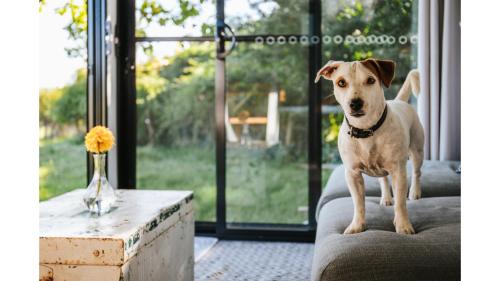 Braidwood House | Bedervale Tiny by Tiny Away
