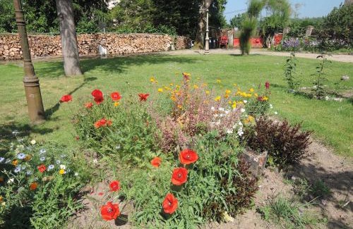 Oree d'Anjou Bed & Breakfast | BEDLOIRE