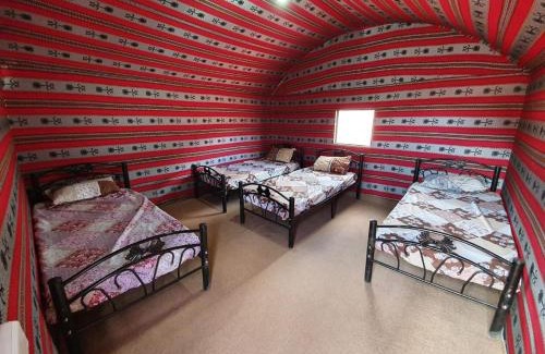 Wadi Rum Other | Bedouin host camp& with tour
