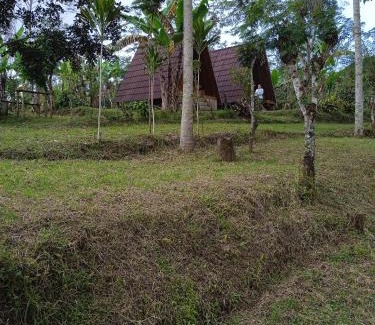 Wanagiri Other | Bedugul puncak& giri camp