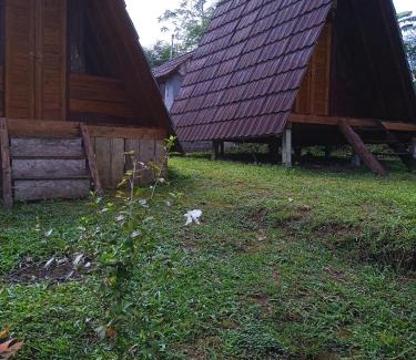 Wanagiri Other | Bedugul puncak& giri camp