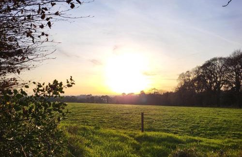 Taghmon Bed & Breakfast | Beech Lodge Garden View Studio Apartment
