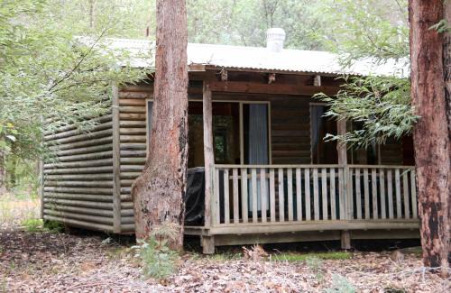 Beedelup Cabin | Beedelup House Cottages