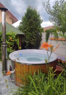 Besenova Apartment | Begónia-dom s jednou spálňou