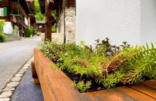 Gsteigwiler Apartment | beim Brunnen