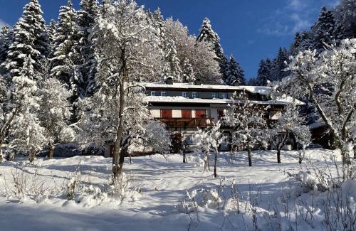 Scheffau am Wilden Kaiser Apartment | Beim Talschuster