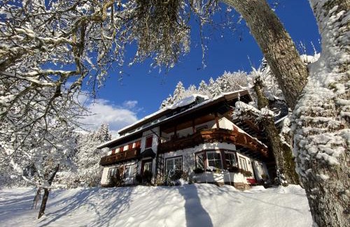 Scheffau am Wilden Kaiser Apartment | Beim Talschuster