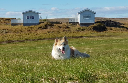 Rangarþing ytra Cabin | Beindalsholt