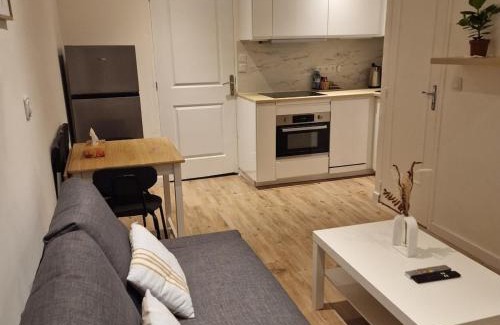 Fleury-les-Aubrais Apartment | Bel appartement cosy