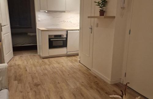Fleury-les-Aubrais Apartment | Bel appartement cosy