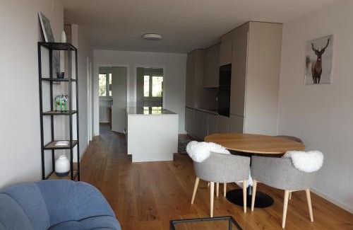 Randogne Apartment | Bel Appartement Centre Crans Montana, Air Frais Vue Alpine