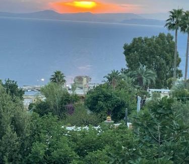 Lacco Ameno Bed & Breakfast | Belgodere di Mezzavia Apartments