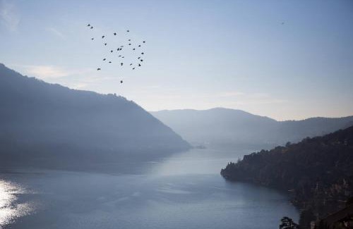 Moltrasio Apartment | Bellavista wonderful lake view