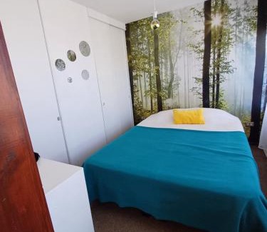 Vina del Mar Apartment | Bello Departamento de 1 dormitorio, VIÑA DEL MAR, Villa Dulce