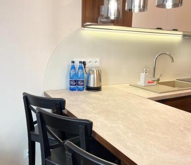 Piotrkow Trybunalski Apartment | Belzacka Studio