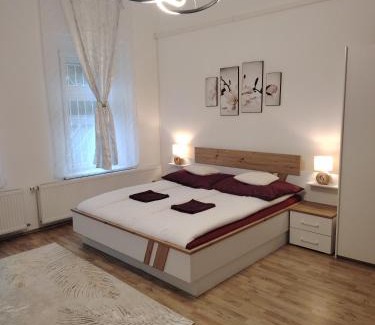 Debrecen Apartment | Bem-Oázis Apartman