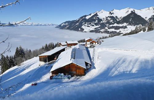 Ludesch Apartment | Berghof Burtscher