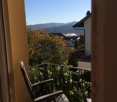 Gengenbach Apartment | Bergleblick