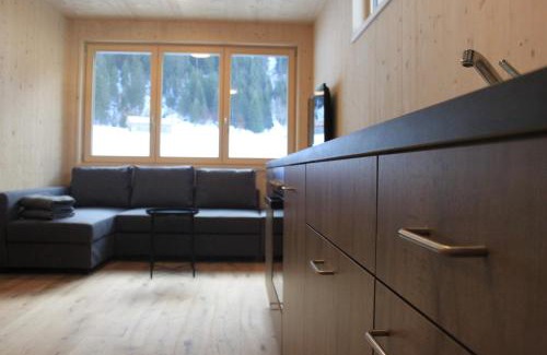 Schoppernau Apartment | Bergreich Appartement 1