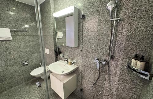 Flims Apartment | Bergstudio I Flims I Laax I Ski I Caumasee
