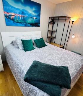 Hof Municipality Apartment | Bergsvannets Lake Guesthouse
