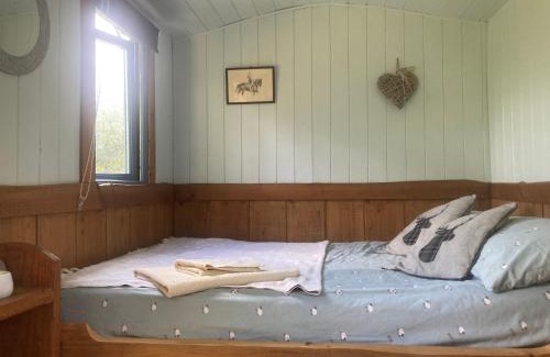 Bontnewydd House | Berwyn Shepherds Hut