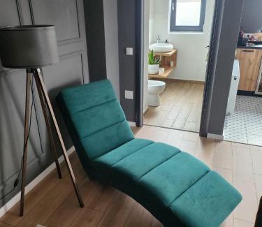 Tirgu Mures Apartment | Best View Terrace