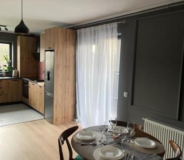 Tirgu Mures Apartment | Best View Terrace