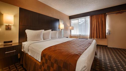 Cairo Hotel | Best Western Executive Inn