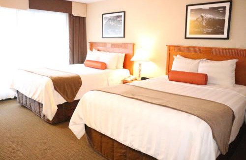 Banff Hotel | Best Western Plus Banff International Lodge