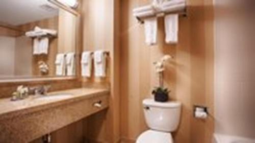 State College Hotel | Best Western PLUS University Park Inn & Suites