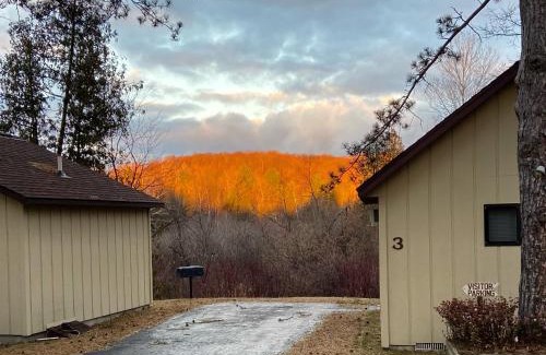 Benzonia Other | Betsie Riverside Resort