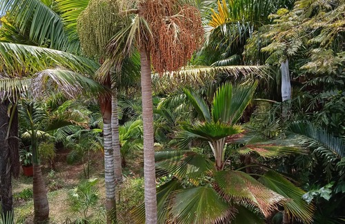 Trois-Bassins Apartment | Between beach and mountain