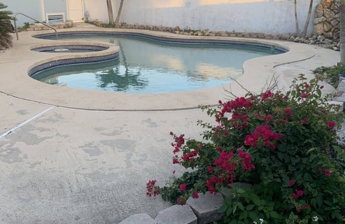 Wilbur-By-The-Sea Apartment | "Beverly's Place" Beachfront Apt Daytona Beach - just steps away from the ocean!