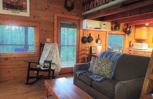 Condon Cabin | Beyersfort on Cygnet Lake - Sleeps 5, Private Dock w/Canoe, & Dogs Welcome!