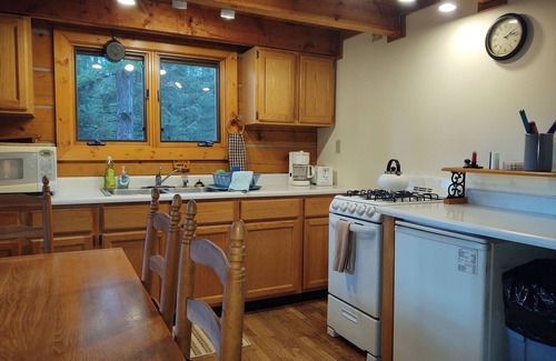 Condon Cabin | Beyersfort on Cygnet Lake - Sleeps 5, Private Dock w/Canoe, & Dogs Welcome!