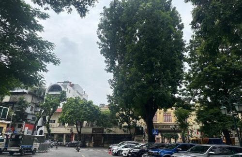 Tu Liem Apartment | Biển Xanh 303DM