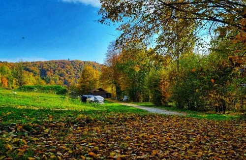 gmina Szczebrzeszyn House | Biała chatka w lesie na Roztoczu