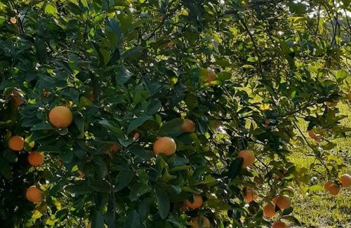 Chavarria House | Bien de Campo