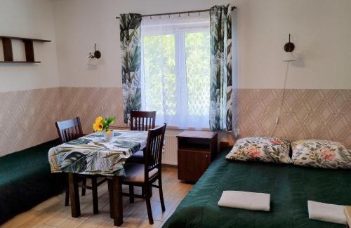 Ustrzyki Dolne House | Bieszczadzkie Brzegi