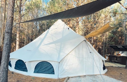 Conway RV Rental | 🐻 Big Bear Glamping | Spacious Forest Retreat 🌲🔥 Sleeps 8