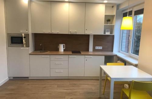 Anyksciai Apartment | Biliūno studio
