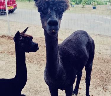 Great Houghton Resort | Billing Aquadrome Holiday Park Fishing Lakes Gold Caravan