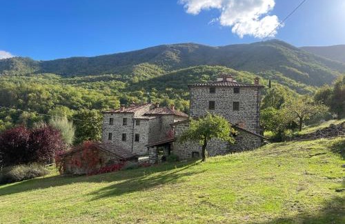 Caprese Michelangelo House | Bio Agriturismo Il Vigno