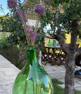Otranto Bed & Breakfast | Bio&B Acquaviva