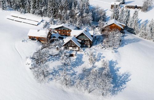 Ramsau am Dachstein Apartment | Bio Bauernhof Leitenmüller