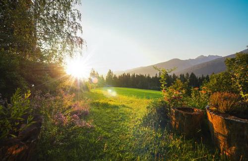 Ramsau am Dachstein Apartment | Bio Bauernhof Leitenmüller