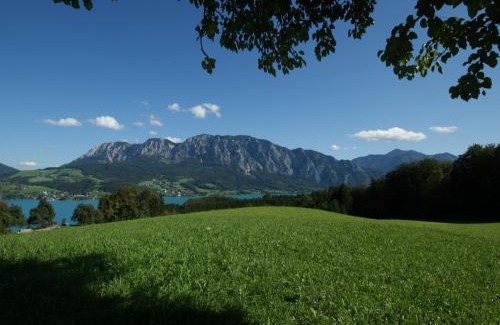Nussdorf am Attersee House | Biobauernhof Nussbaumer