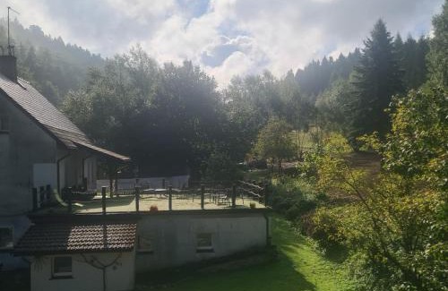Walim House | Biotanika
