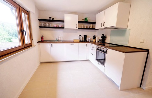 Darstein Apartment | birds-nest holiday home palatian forest balcon wood stove